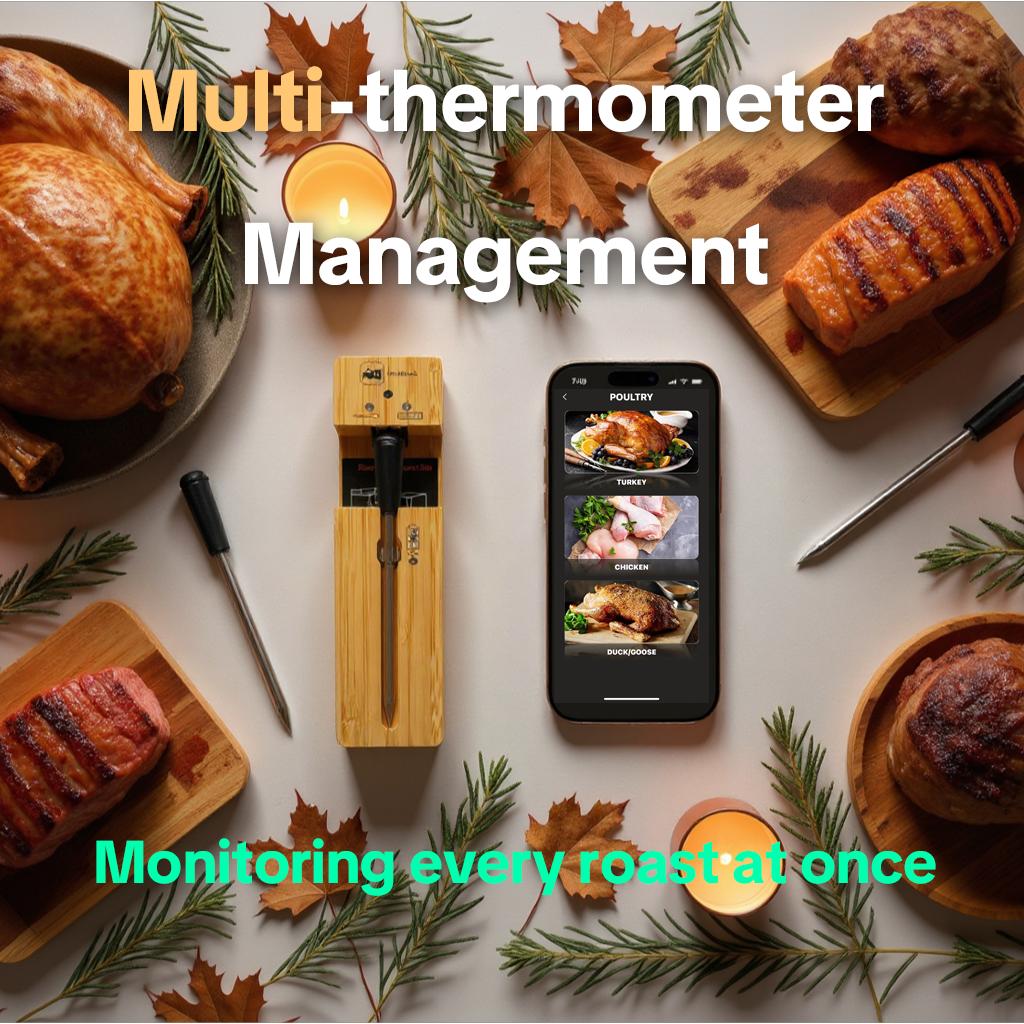 Probe Plus Bluetooth Wireless Meat Thermometer Digital for BBQ Grill Oven Smoker Air Fryer Kitchen FDA Certified Food Safe Rechargeable Eco Friendly Multi-Probe Management Real Time Smartphone Monitoring High Precision Measurement Stainless Steel Probes